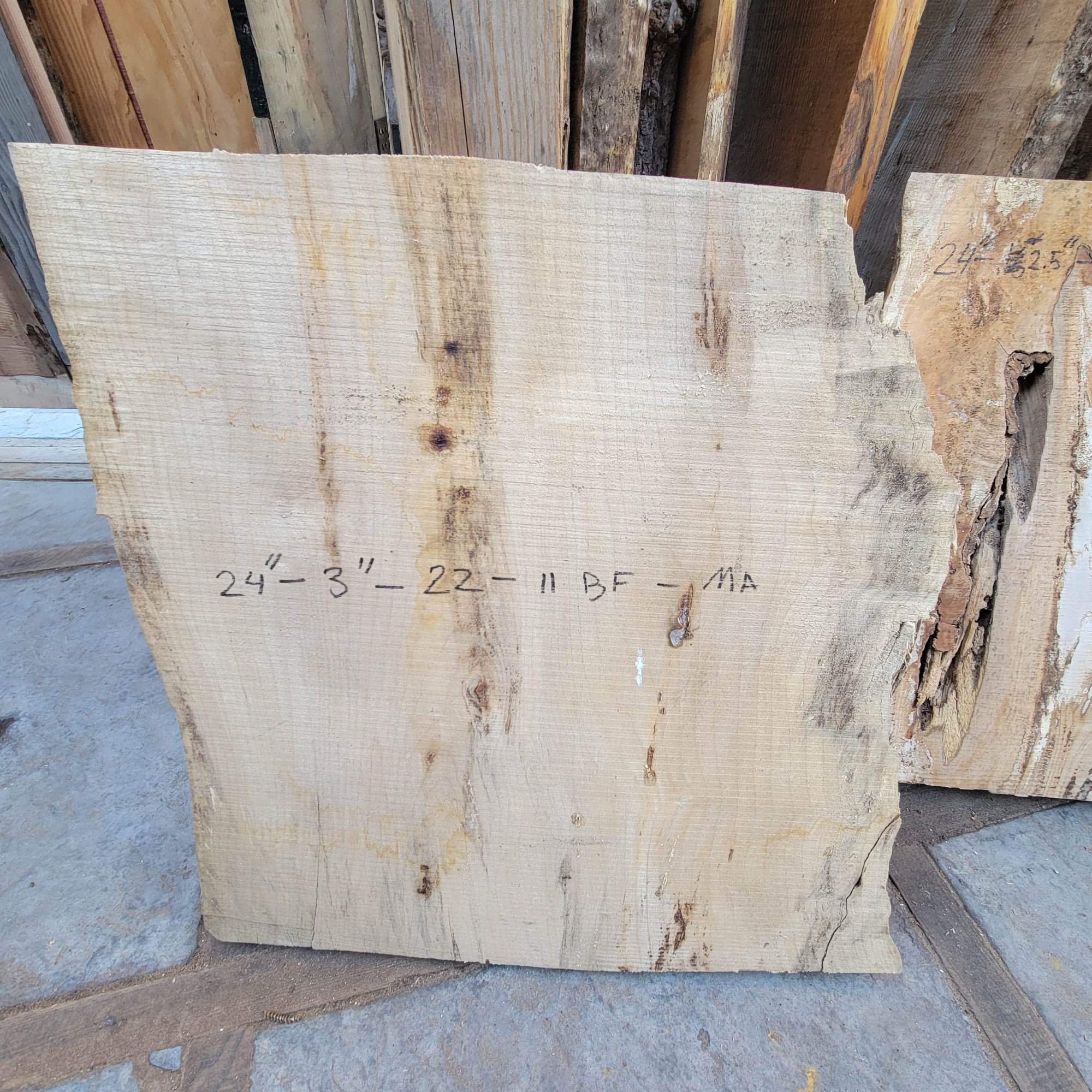 Big Leaf Maple